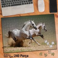 Asil Hobi Koşan Beyaz İki At-Vahşi Yaşam Yapboz-Ayak Destekli Çerçeveli 240 Parça Puzzle