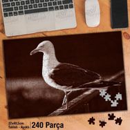Asil Hobi Martı-Kuş-Hayvan-Yabani Hayat Yapboz-Ayak Destekli Çerçeveli 240 Parça Puzzle