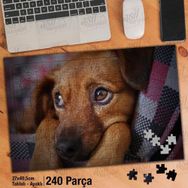 Asil Hobi Masum-Sevimli Hayvan-Köpek-Doğa Yapboz-Ayak Destekli Çerçeveli 240 Parça Puzzle
