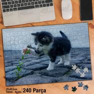 Asil Hobi Mavi Gözlü Sevimli Kedi-Çiçek-Sokak Yapboz-Ayak Destekli Çerçeveli 240 Parça Puzzle