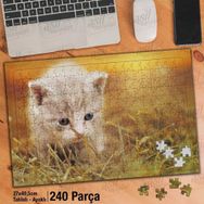 Asil Hobi Mavi Gözlü Sevimli Yavru Kedi-Hayvan Yapboz-Ayak Destekli Çerçeveli 240 Parça Puzzle