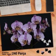 Asil Hobi Mor Orkide-Siyah Zemin-Çiçek-Bitki Yapboz-Ayak Destekli Çerçeveli 240 Parça Puzzle