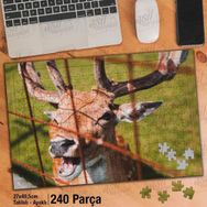 Asil Hobi Mutlu Geyik-Doğa-Hayvanat Bahçesi Yapboz-Ayak Destekli Çerçeveli 240 Parça Puzzle