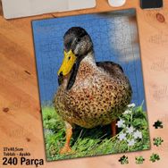 Asil Hobi Ördek-Çimen-Doğa-Hayvan-Gökyüzü Yapboz-Ayak Destekli Çerçeveli 240 Parça Puzzle