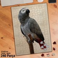 Asil Hobi Papağan-Afrika-Kuş-Doğa-Hayvan Yapboz-Ayak Destekli Çerçeveli 240 Parça Puzzle