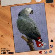 Asil Hobi Papağan-Kuş-Amazon-Afrika-Hayvan Yapboz-Ayak Destekli Çerçeveli 240 Parça Puzzle