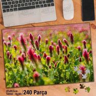 Asil Hobi Pembe Çiçekler-Doğa-Bitki-Peyzaj Yapboz-Ayak Destekli Çerçeveli 240 Parça Puzzle