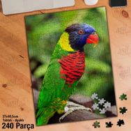 Asil Hobi Rengarenk Tüylü Papağan-Amazon-Kuş Yapboz-Ayak Destekli Çerçeveli 240 Parça Puzzle