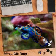 Asil Hobi Renkli Okyanus Balığı-Doğa-Deniz Yapboz-Ayak Destekli Çerçeveli 240 Parça Puzzle