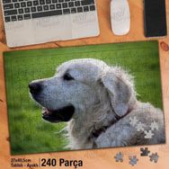 Asil Hobi Retriever-Sevimli-Mutlu-Köpek-Hayvan Yapboz-Ayak Destekli Çerçeveli 240 Parça Puzzle
