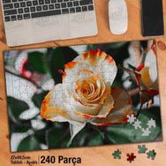 Asil Hobi Rose-Beyaz Ve Turuncu Renkte Gül-Çiçek Yapboz-Ayak Destekli Çerçeveli 240 Parça Puzzle