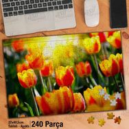 Asil Hobi Sarı-Kırmızı Laleler-Çiçekler-Peyzaj Yapboz-Ayak Destekli Çerçeveli 240 Parça Puzzle