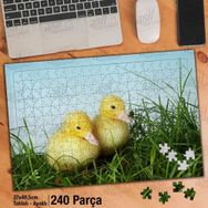Asil Hobi Sarı Ördek Yavruları-Çimen Yapboz-Ayak Destekli Çerçeveli 240 Parça Puzzle