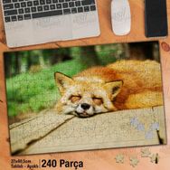 Asil Hobi Sarı Tüylü Tilki-Uyuyan Tilki-Doğa Yapboz-Ayak Destekli Çerçeveli 240 Parça Puzzle