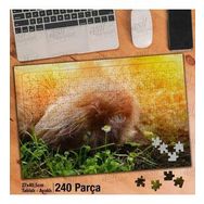 Asil Hobi Scottish Kedi-Papatya-Doğa-Hayvan-Yapboz-Ayak Destekli 240 Parça Puzzle