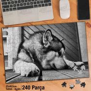 Asil Hobi Sevimli Kurt Köpeği-Hayvan-Yapboz-Ayak Destekli 240 Parça Puzzle