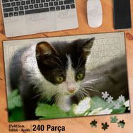 Asil Hobi Sevimli Yavru Kedi-Hayvan-Tabiat Yapboz-Ayak Destekli Çerçeveli 240 Parça Puzzle