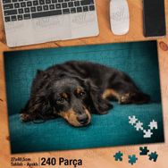 Asil Hobi Siyah Kahve Renkli Sevimli Yatan Köpek Yapboz-Ayak Destekli Çerçeveli 240 Parça Puzzle
