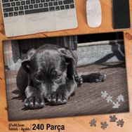 Asil Hobi Siyah Tüy-Utangaç Köpek-Sevimli Hayvan Yapboz-Ayak Destekli Çerçeveli 240 Parça Puzzle
