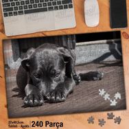 Asil Hobi Siyah Yavru Labrador Köpek-Evcil Hayvan Yapboz-Ayak Destekli Çerçeveli 240 Parça Puzzle