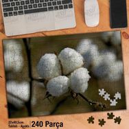 Asil Hobi Tarlada Pamuk-Hasat-Ekin Yapboz-Ayak Destekli Çerçeveli 240 Parça Puzzle