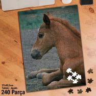 Asil Hobi Tay-At-Vahşi Hayvan Yapboz-Ayak Destekli Çerçeveli 240 Parça Puzzle