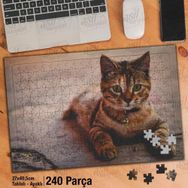 Asil Hobi Tekir-Kedi-Evcil-Dikkatli Bakış Yapboz-Ayak Destekli Çerçeveli 240 Parça Puzzle