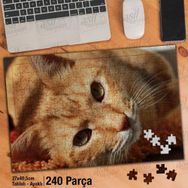 Asil Hobi Turuncu Kedicik-Masum-Sevimli Hayvan Yapboz-Ayak Destekli Çerçeveli 240 Parça Puzzle