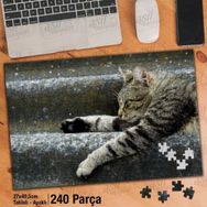 Asil Hobi Uyuyan Sevimli Kedicik-Vahşi Yaşam Yapboz-Ayak Destekli Çerçeveli 240 Parça Puzzle