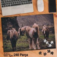 Asil Hobi Yabani Vahşi Hayvan-At-Tay-Doğa Yapboz-Ayak Destekli Çerçeveli 240 Parça Puzzle