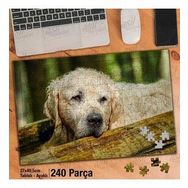 Asil Hobi Yaşlı Golden Retriever-Köpek-Hayvan Yapboz-Ayak Destekli Çerçeveli 240 Parça Puzzle