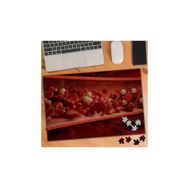 Asilmeydan 455725696 240 Parça Kırmızı Beyaz Kan Hücreleri Puzzle Yapboz Tablo