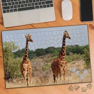 Asilmeydan 456186199 240 Parça Sevimli Hayvan Zürafalar Puzzle Yapboz Tablo