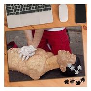 Asilmeydan 456192278 240 Parça Ilk Yardım Müdahale Puzzle Yapboz Tablo