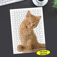 Asilmeydan 456458041 240 Parça Turuncu Sevimli Kedicik Puzzle Yapboz Tablo