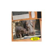 Asilmeydan 456521868 240 Parça Aile Suaygırılar Puzzle Yapboz Tablo