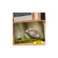 Asilmeydan 456524760 240 Parça Salyangoz Ile Kirpi Hayvanlar Puzzle Yapboz Tablo