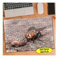 Asilmeydan 456811690 240 Parça Makro Çekim Kara Sinek Puzzle Yapboz Tablo