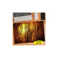 Asilmeydan Gün Batımı Kuru Ağaçlar 240 Parça Puzzle Yapboz Tablo