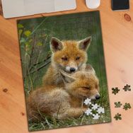 Asilmeydan Yavru Tilki Ailesi 240 Parça Puzzle Yapboz Tablo