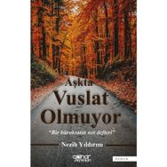 Aşkta Vuslat Olmuyor - Bir Bürokratın Not Defteri - Nezih Yıldırım