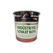 Asrın Rapid Beyaz 1 kg Endüstriyel Boya
