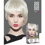 Asse 12.01-Extra Küllü Platin Sarı Set Saç Boyası