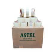 Astel 60 Adet 1 Koli 45x100 Koli Bandı