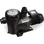 Astral Victoria Plus 1.5 Hp 220 V Havuz Pompası