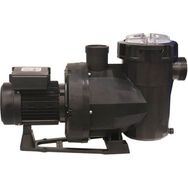 Astral Victoria Plus 1 Hp Monofaze Kendinden Emişli Havuz Pompası