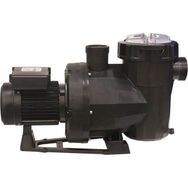 Astral Victoria Plus 2 Hp Trifaze Kendinden Emişli Havuz Pompası