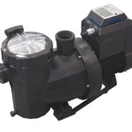 Astral Victoria Plus Vs 2 Hp Monofaze Kendinden Emişli Havuz Pompası