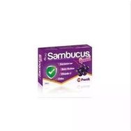 Astrasept Sambucus Kara Mürver 16 Pastil