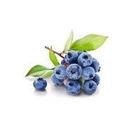 Ata Tohumculuk 10 Adet Yaban Mersini Tohumu Blueberry